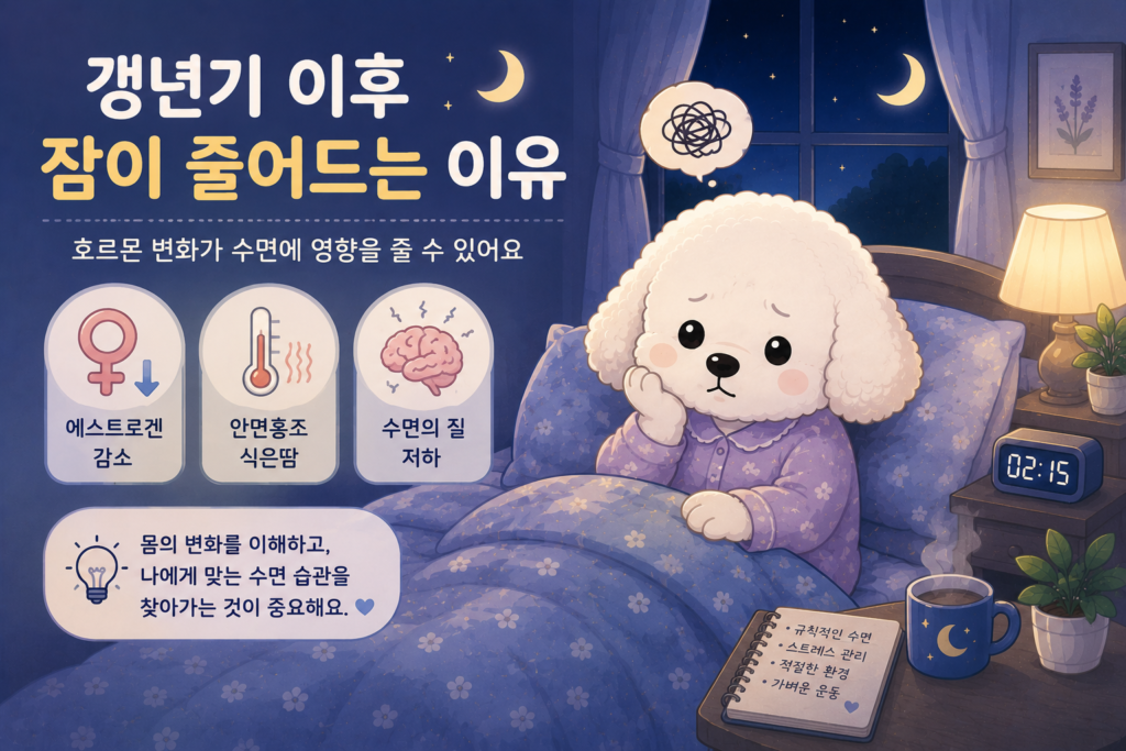 갱년기 이후 잠이 줄어드는 이유와 여성호르몬 변화가 수면에 미치는 영향을 표현한 꼬똥 슬리피 대표 이미지