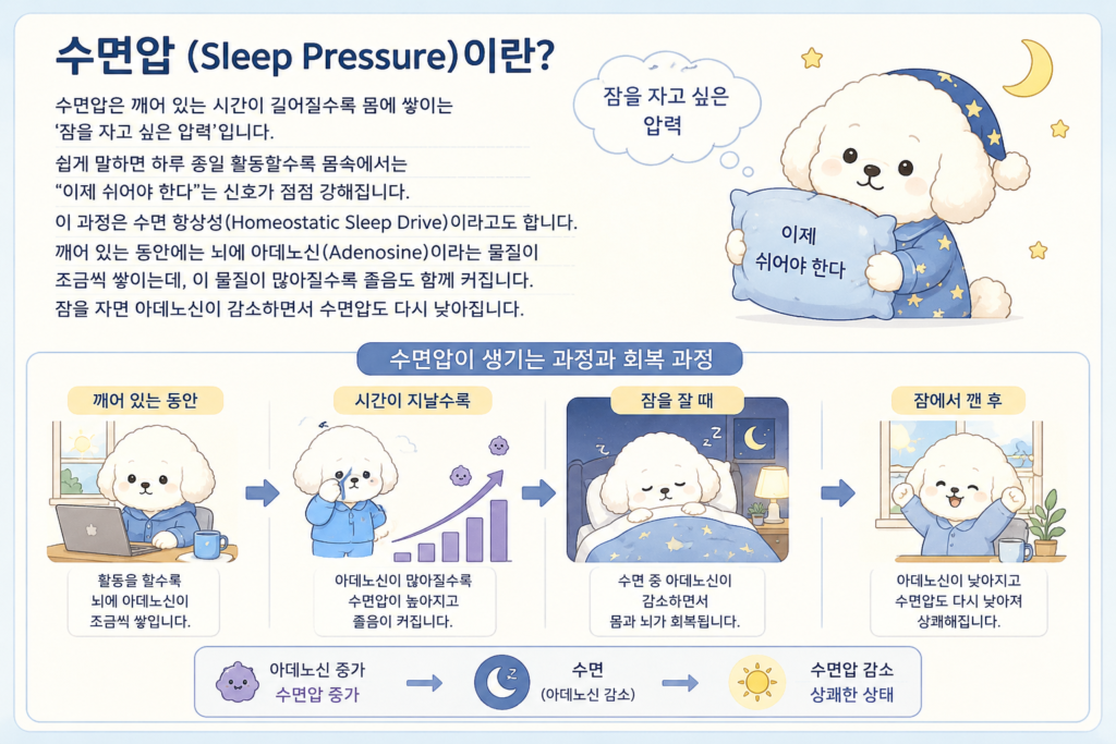 몸은 피곤한데 잠이 안 오는 이유와 수면압(Sleep Pressure)을 설명하는 이미지