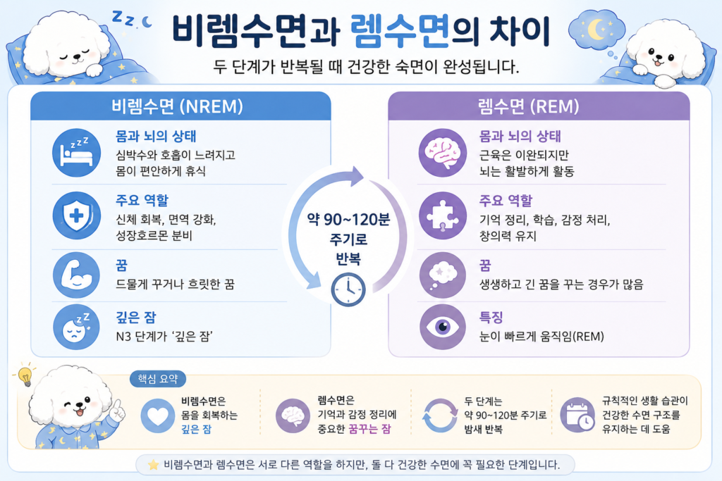 비렘수면과 렘수면의 차이 인포그래픽