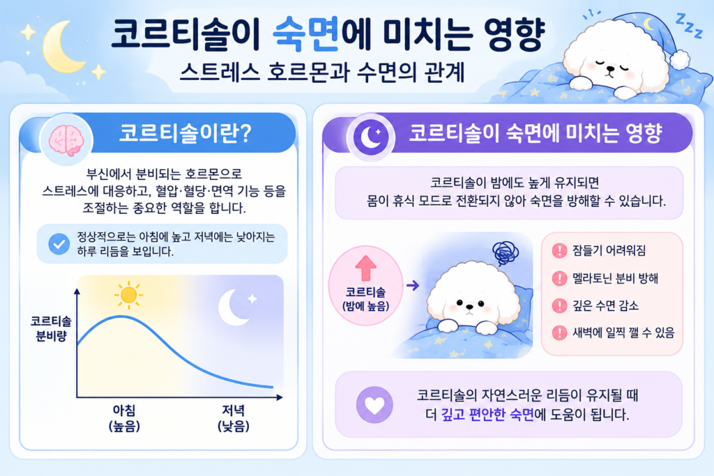 코르티솔이 숙면에 미치는 영향과 스트레스 호르몬의 하루 리듬
