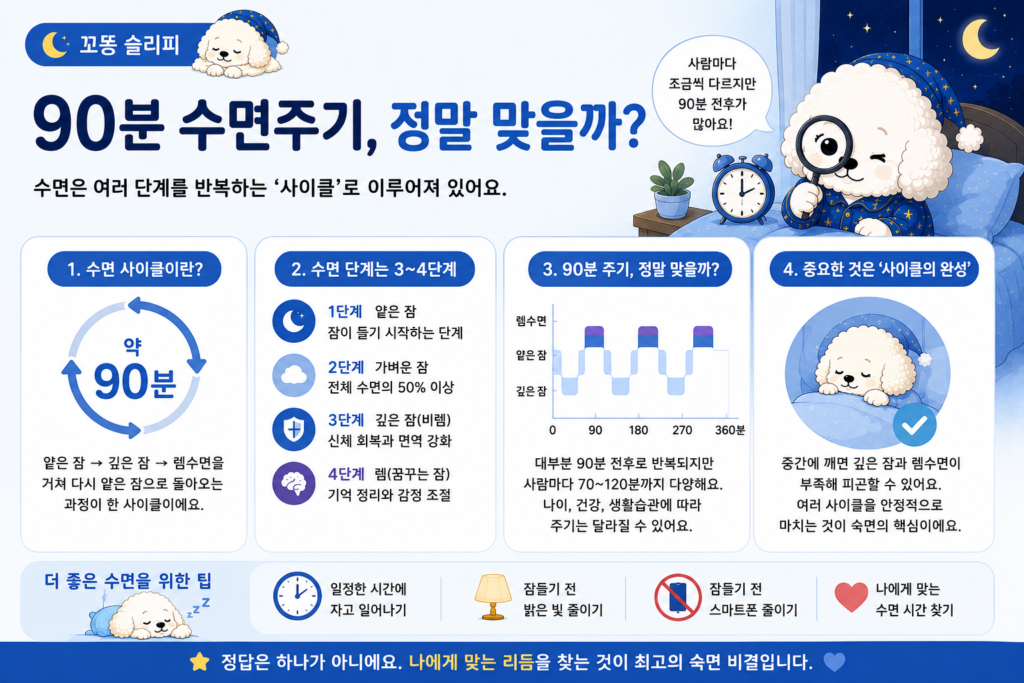 90분 수면주기보다 규칙적인 수면 습관이 중요하다는 내용을 담은 꼬똥 슬리피 마무리 이미지